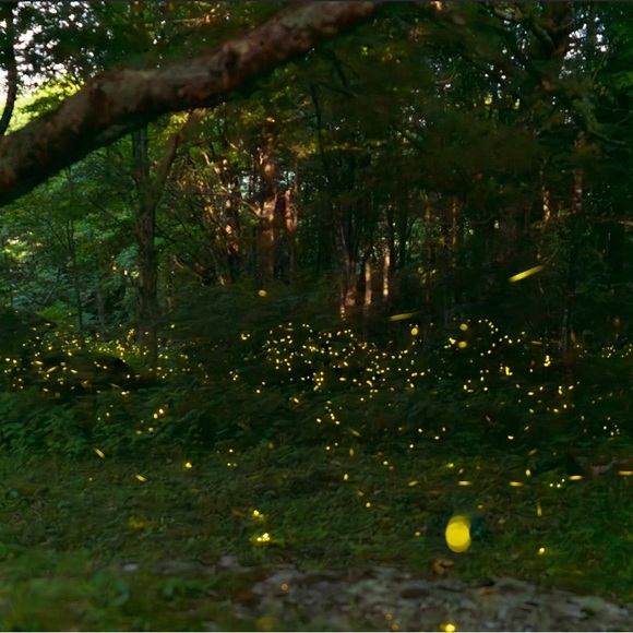 Meet your Posher, Heather - Picture 2 of 4